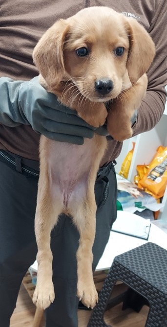 인월동물병원_445470202300894